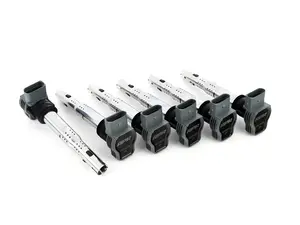 APR Upgraded Ignition Coil - Grey - Set of Six