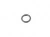 ES#2802421 - 169972948 - O-RING - Rein - Mercedes Benz