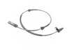 ES#4184287 - 34526895657 - Genuine BMW Wheel speed Sensor  - Monitors your wheels speed - Genuine BMW - BMW