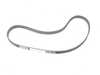 ES#1466 - TB017K1 - ECS Tuning Timing Belt Kit - Standard - Belt & Tensioner roller, made by Contitech - Continental - Volkswagen