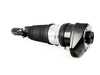 ES#4350296 - 37107915965 - AIR SPRING STRUT, FRONT LEFT - Genuine BMW - BMW