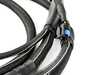 ES#4472566 - MS3Ph-Trans_4L80 - MicroSquirt CAN Transmission Controller With 4L80E Subharness - MegaSquirt - 
