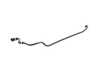 ES#3153714 - 17128625400 - HOSE, RADIATOR - Genuine MINI - MINI