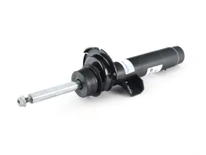 Front Strut - Right