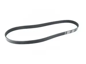 Accessory Belt