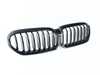 ES#4216880 - 51129852169 - GRILL FRONT - Genuine BMW - BMW