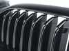 ES#4216880 - 51129852169 - GRILL FRONT - Genuine BMW - BMW