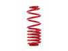 ES#4492752 - SUS00014 - Roll-Control Lowering Springs - Lowers 22 mm Front / 37 mm Rear (DCC),  18 mm Front / 32 mm Rear (Non-DCC) - APR - Volkswagen