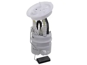 Fuel Pump With Filter