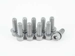 ES#2807502 - 07119906143KT - Bolt - Pack Of 10  - Used in securing your power steering pump - Genuine BMW - BMW