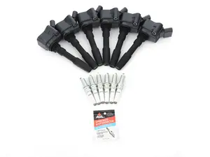 Genuine Ignition Service Kit