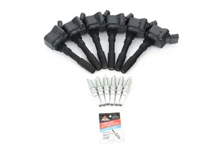 Bosch Ignition Service Kit