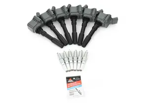 Performance Ignition Service Kit