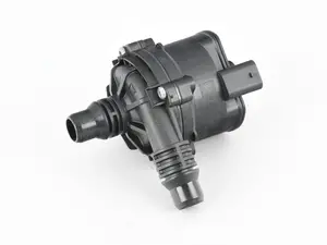 Auxillary Water Pump