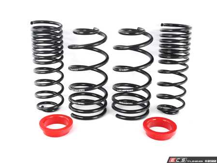ES#2825984 - 55.10.52 - Spring Sets - Neuspeed - 