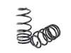 ES#2825984 - 55.10.52 - Spring Sets - Neuspeed - 