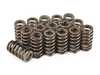 ES#2794008 - IEVTVC3 - Performance Valve Spring/Retainer Kit - High quality performance valve springs and titanium retainers - Integrated Engineering - Audi Volkswagen