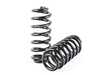 ES#3576127 - 55.70.15 - Sport Spring Set - Upgrade looks and handling - Average lowering of 18mm Front, 13mm Rear - Neuspeed - Audi