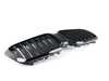 ES#4426047 - 51135A1AC55 - GRILL FRONT - Genuine BMW - BMW