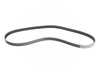 ES#2800688 - 079903137AG - Accessory Belt - Keep your accessories running properly - Continental - Audi