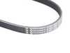ES#2800688 - 079903137AG - Accessory Belt - Keep your accessories running properly - Continental - Audi