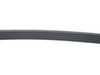 ES#2800688 - 079903137AG - Accessory Belt - Keep your accessories running properly - Continental - Audi