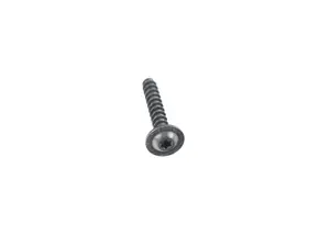 FILLISTER HEAD SCREW