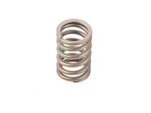 ES#22921 - 11341738488 - VALVE SPRING - Genuine BMW - BMW