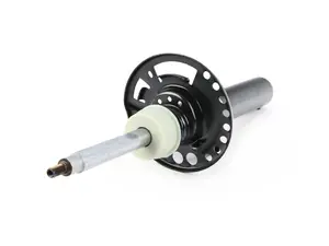 Front Right Spring Strut
