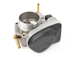 Throttle Body Assembly