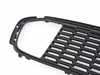 ES#4389747 - 51117314642 - JCW Grille - Lower - Main lower bumper grille with cutouts for the brake ducts. - Bremmen Parts - MINI