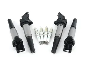 Ignition Service Kit 