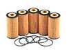 ES#4500808 - 06k115562hKT - Hengst Oil Filter - Pack Of 5 - Stock up and save! - Hengst - Audi Volkswagen Porsche