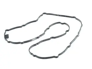 Engine Oil Pan Gasket