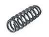 ES#4135346 - 4208455 - Rear Coil Spring - Replace your cracked springs - Lesjofors - BMW