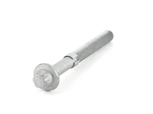 TORX SCREW WITH COLLAR