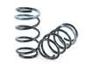 ES#4428222 - VWR31G8GT - RacingLine Sport Spring Set - Give your GTI the ride height it deserves - The first upgrade to make to your car! - Racingline - Volkswagen
