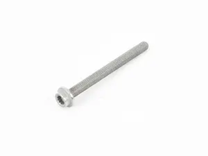 TORX SCREW