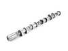 ES#4141460 - 06F109102E - Exhaust Camshaft - Prevent timing failure by replacing your worn out camshaft - TRW - Audi Volkswagen