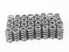 ES#4313660 - ST-VSK-S65 - Supertech Valve Spring Kit - BMW S65 Engine - These springs have been thoroughly tested and performed flawlessly with nearly all the cams from Schrick. - Supertech - BMW