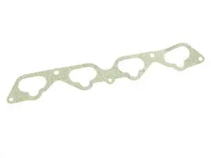 Lower Intake Manifold Gasket