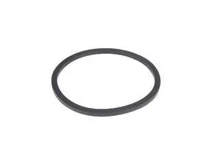 Thermostat O-Ring