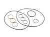 ES#4465230 - 101-0147 - Overhaul Seal Kit - (NO LONGER AVAILABLE) - Rebuild your transmission with quality seals! - Precision Raceworks - 