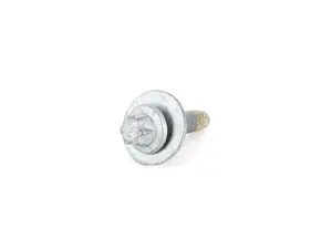 HEX SCREW WITH COLLA