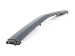 Center Bumper Moulding