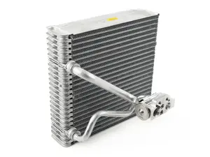 Evaporator With Expansion Valve