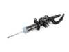 ES#2607406 - 37116851128 - Front Right Spring Strut - Genuine BMW - BMW