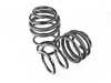 ES#4447659 - 55.70.17 - Sport Spring Set - Average lowering front: 1.4" rear: 1.6" - Neuspeed - Volkswagen