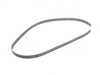 ES#3994538 - 1399930000 - POLY-V-BELT - Genuine Mercedes Benz - Mercedes Benz