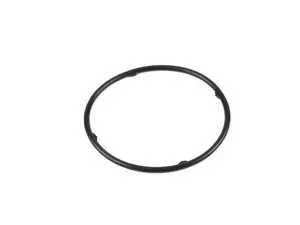 Sealing Ring Gasket